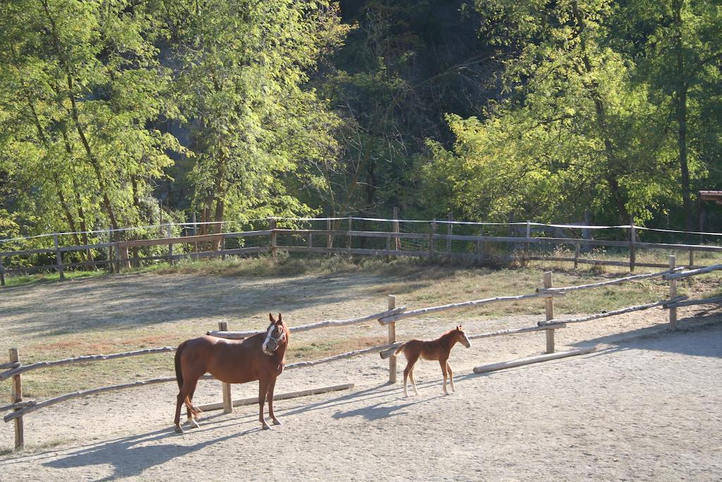 Agriturismo Cascina Del Vai カイロ・モンテノッテ エクステリア 写真