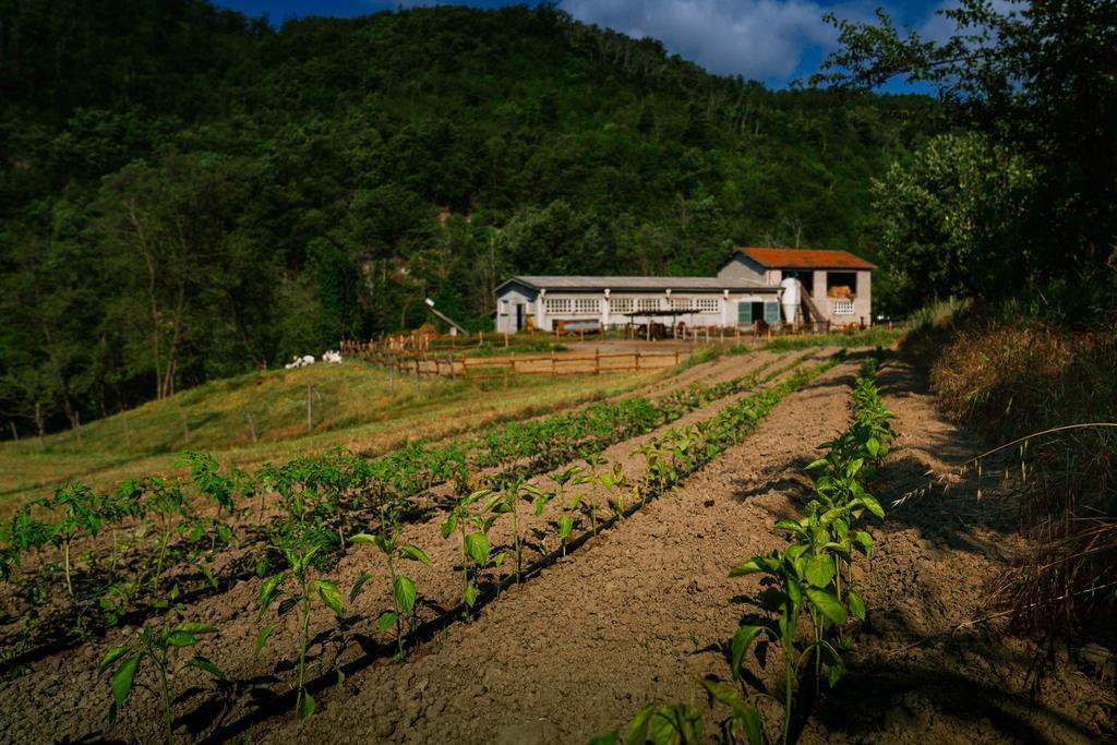 Agriturismo Cascina Del Vai カイロ・モンテノッテ エクステリア 写真